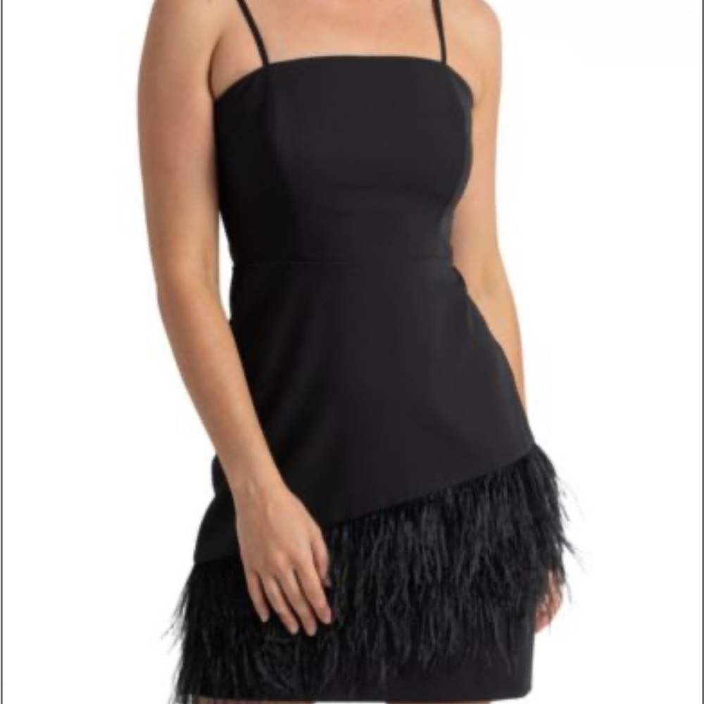 Sam Edelman Black Feathered Dress